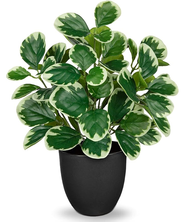 Villa Como 14.5" Artificial Plants Indoor Home Decor, Fake Potted Silk Plants for Shelves Living Room Decorative, Small Artificial Office Desk Plant in Pots, Faux Peperomia Hope Tropical House Plant