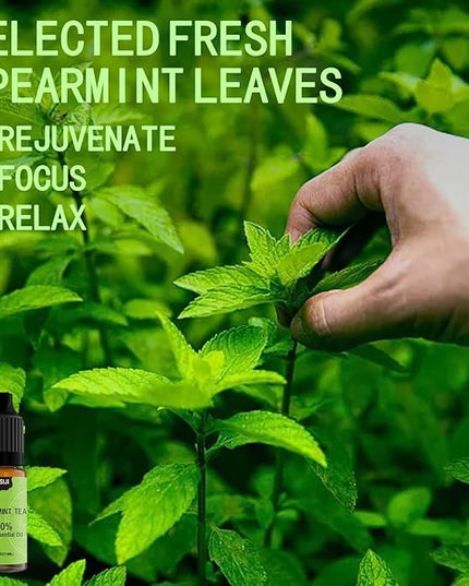 Essential Oil Blends, Essential Oils Set for Diffusers for Home, Well-Being Kit- Spearmint Tea, Calming, Dreams, Relaxing, Mood, Fresh Air Aromatherapy Oils for Humidifiers, Skin, 6x10ml