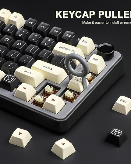Keycaps- Double Shot PBT Custom Keycap Set, Rome Minimalist Style 161 Keys, Suitable for 65% 75% 80% 98% 100% All Kinds of Mechanical Keyboards with Cross Shaft, with Key Puller