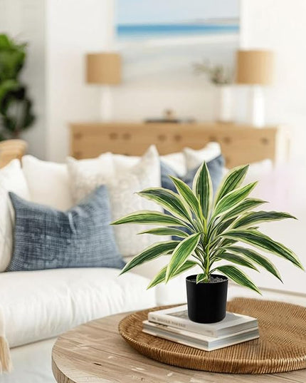 Artificial Plants Indoor with Pot, 18" Fake Potted Plants Medium Artificial Dracaena Plant in Black Pot Faux Tropical Plants for Bathroom Living Room Office Desk Shelf Decor