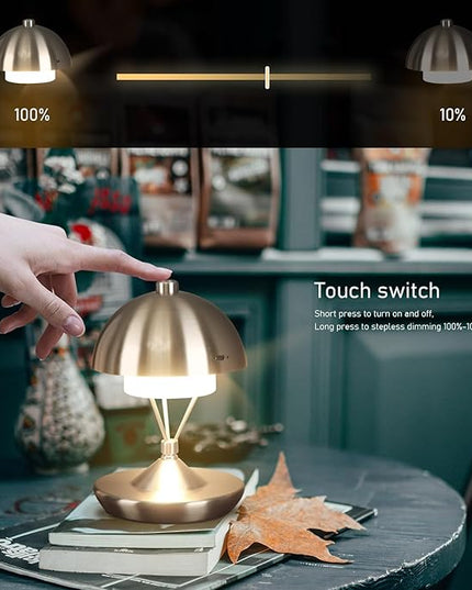 Modern Table Lamp Cordless Portable Desk Lamp, 2700K Stepless Dimming Rechargeable Battery Operated LED Lights for Bedroom, USB-C Charging, Restaurant/Bar/Night Light/Gifts (Brushed Nickel)