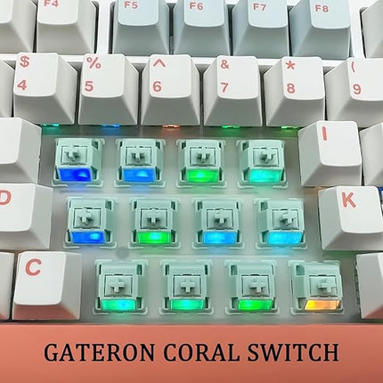 Gateron Coral Switches for mx Mechanical Keyboard,5-Pin 43gf/Smoothie Linear/Fine lubed/RGB/POM/Dual-Stage Spring Switches(72pcs)