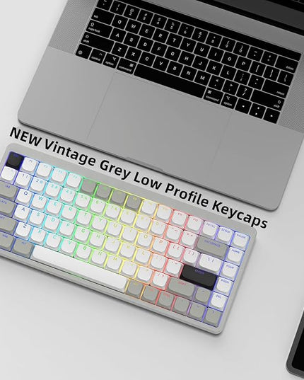 Womier Low Profile Keycaps - Shine Through Keycaps 60 65 75 100 Percent, Keyboard Key caps PBT Full Size for Cherry Gateron MX Switches Mechanical Keyboard, Grey/White