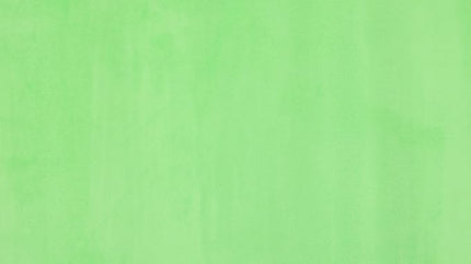 Kate 6ftX9ft Solid Light Green Backdrop Portrait Photography Background for Photography Studio Children and Headshots Green Backdrop Background