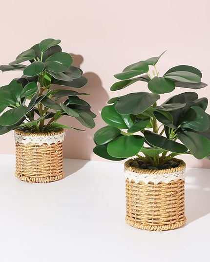 Nubry 2 Pack Fake Plants Artificial Potted Plants with Weaved Pot for Shelf & Table Desk | Perfect for Home Office Bathroom Farmhouse Room Coffee Table Decor 10‘’