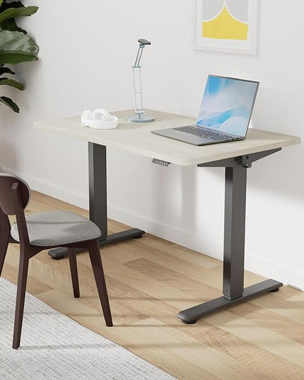 FLEXISPOT EN2 Whole-Piece Standing Desk with Clamp Power Strip, 48 x 30 Electric Stand Up Height Adjustable Desk with Cable Management (Black Frame + 48" Gray Wood Grain Desktop, 2 Packages)