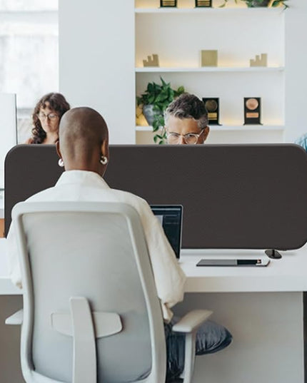 DECOLAB Desk Divider, Portable Desktop Privacy Panels Partition for Study, Home Office, Workplace, Students, Free Standing, Anti-Scratch, 48"x18", Iron