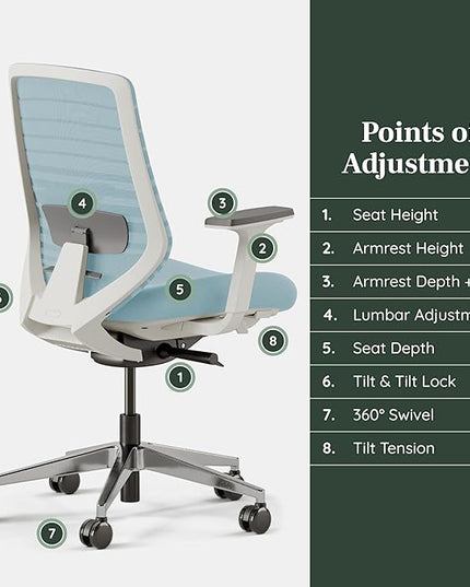 Branch Ergonomic Chair - A Versatile Desk Chair with Adjustable Lumbar Support, Breathable Mesh Backrest, and Smooth Wheels - Experience Optimal Comfort and Support - Light Blue