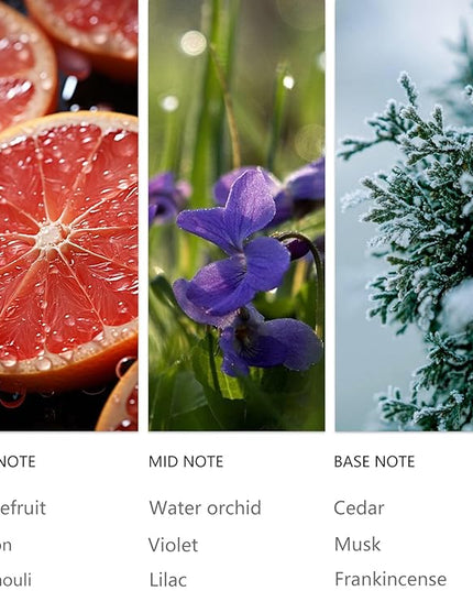 Hotel Waterless Diffuser Oil Clove Cedar 20ML Sampler, Essential Scent Oil Usage Cold Air Waterless Diffuser, Luxury Scents Oils Fragrance for Home