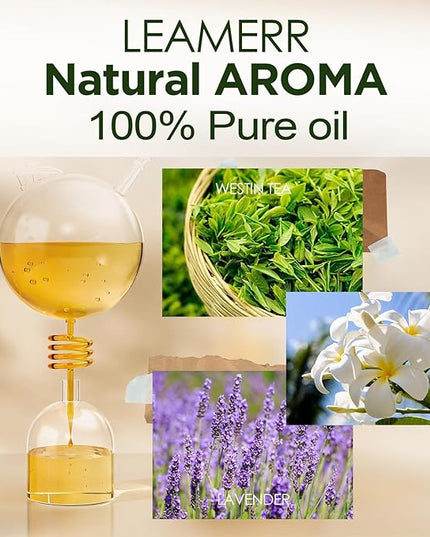 White Tea Reed Diffusers for Home, 4 oz (120mL) Aromatherapy for Relaxation & Air Freshener. Perfect for Home, Bathroom, Office & Room Decor, Calming Botanical Scent