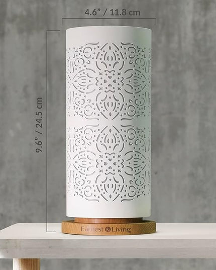 Earnest Living Waterless Diffuser 100ml Nebulizing Diffusion System for Studio Home Office Hotel Spa