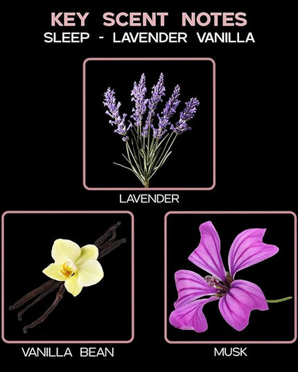 LOVSPA Reed Diffuser Set, Lavender Vanilla Scented Oil Diffuser with Sticks, Home Fragrance Accessories for Bathroom Shelf Decor, Aroma Diffusers for Home or Office Desk, USA Made