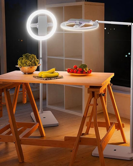 NEEWER Entry Level Version 10" 7W LED Ring Light with Stand/Phone Holder Mount/3 Color Modes, 69" Telescopic Selfie Ringlight, Lighting for iPhone Streaming Makeup Lash Studio Video Recording, N18