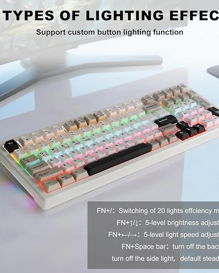 Wireless Game Mechanical Keyboard BT5.0/2.4GHz/USB, Multi-Color LED with 18+ Modes, Hot-Swappable Custom Keyboard, Red Creamy Switches, Gaming Keyboard for PC/Mac (Black White)
