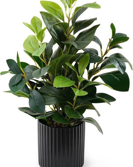 EZBOHO 16 inch Artificial Plants Indoor Realistic Touching Evergreen Leaf Fake Plant with Creamic Black Pot for Home Office Living Room Bathroom Office Table Bookshelf Decor