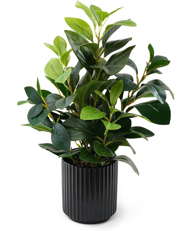 EZBOHO 16 inch Artificial Plants Indoor Realistic Touching Evergreen Leaf Fake Plant with Creamic Black Pot for Home Office Living Room Bathroom Office Table Bookshelf Decor