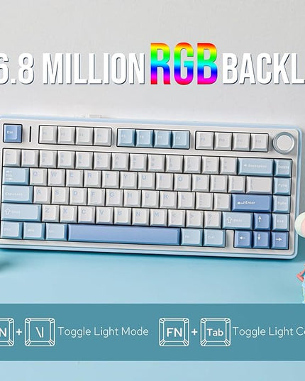 EPOMAKER x Aula F75 Gasket Mechanical Keyboard, 75% Wireless Hot Swappable Gaming Keyboard with Five-Layer Padding&Knob, BT/2.4GHz/USB-C, RGB (Sea Salt Blue, LEOBOG Reaper Switch)