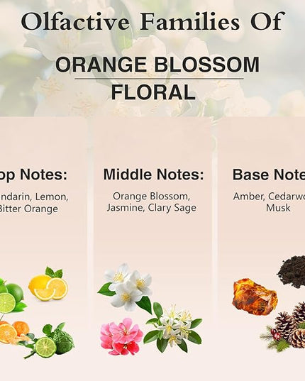 100ML/3.38fl.oz Orange Blossom Fragrance Oils, PHATOIL Orange Blossom Oil for Diffuser, Humidifier, Scented Oils for DIY Soap, Candle Making with Premium Glass Dropper