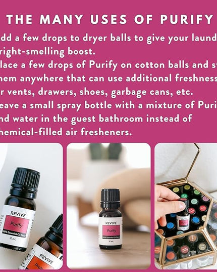 Purify Essential Oil Blend by Revive Essential Oils - REVIVEEO - 100% Pure Therapeutic Grade, for Diffuser, Humidifier, Massage, Aromatherapy, Skin & Hair Care