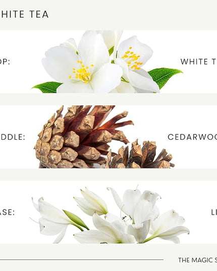 The Magic Scent White Tea Diffuser Oil - Hotel & Home Luxury Scents - Diffuser Oil Scents for Home Designed for Use in All Diffusers - 16.9 fl oz, 500 mL