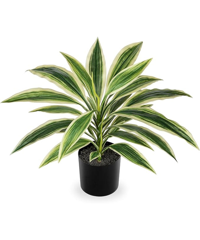 Artificial Plants Indoor with Pot, 18" Fake Potted Plants Medium Artificial Dracaena Plant in Black Pot Faux Tropical Plants for Bathroom Living Room Office Desk Shelf Decor