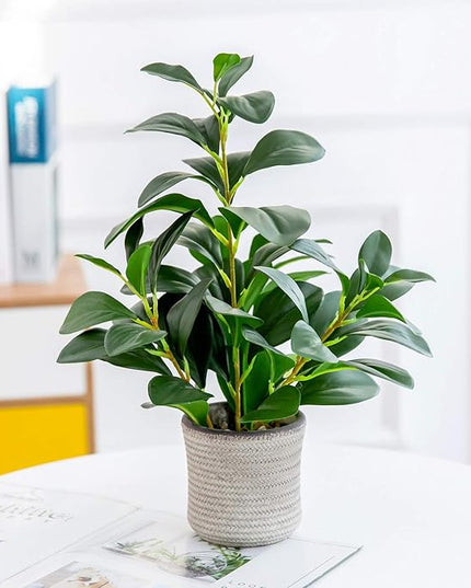 AlphaAcc 16 inch Artificial Indoor Plants Office Desk Faux Plant Peperomia Leaf Ficus Plant Realistic Small Fake Farmhouse Plants for Home Kitchen Bathroom Bedroom Evergreen Decor