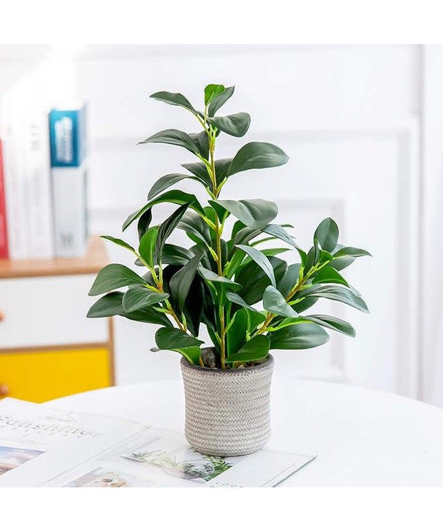 AlphaAcc 16 inch Artificial Indoor Plants Office Desk Faux Plant Peperomia Leaf Ficus Plant Realistic Small Fake Farmhouse Plants for Home Kitchen Bathroom Bedroom Evergreen Decor