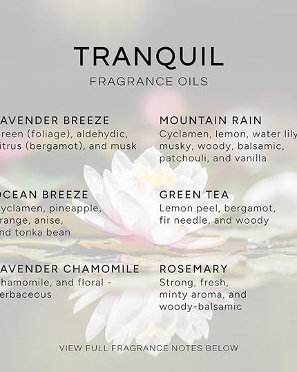 Eternal Essence Oils Tranquil Set of 6 Premium Fragrance Oils - Includes Lavender Breeze, Mountain Rain, Ocean Breeze, Lavender Chamomile, Green Tea, and Rosemary Scented Oils - 10ML