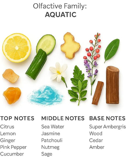 SevenAromas Hotel Scent Diffuser Oil, Luxury Hotel-Inspired Essential Oil for Aromatherapy & HVAC Diffusers – Premium Dropper Bottle - 145 ml 5 FL oz (Bora Bora)