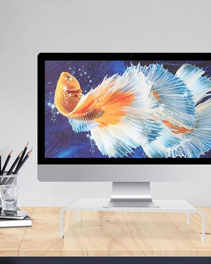 SMASOLO Monitor Stand Riser and Laptop Stand Riser for Desk Single Layer Computer Monitor Shelf with Desktop Storage for Office and Home Use