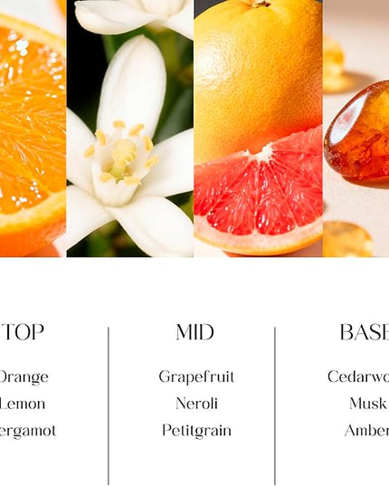 Clesh Reed Diffuser Set, 6.7 oz Citrus Scented Diffuser with Sticks, Home Fragrance Reed Diffuser for Bathroom Shelf Decor