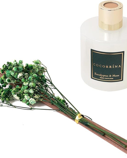 Cocorrína Reed Diffuser Sets- Eucalyptus & Moss Scented Diffuser with Sticks Home Fragrance Reed Diffuser for Bathroom Shelf Decor