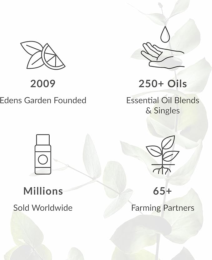 Edens Garden Ravintsara Essential Oil- 100% Pure Premium Grade, Undiluted, Natural, Therapeutic, Aromatherapy, The Best for Diffuser, Candle, Laundry, Humidifiers 30 ml (1 fl oz)