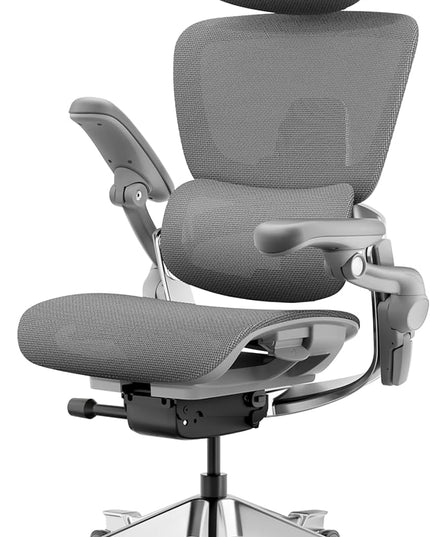 HINOMI H2 Pro Premium Ergonomic Office Chair - Comfy Home Office Desk Computer Chair with Adjustable Back Support, Swivel Wheels, Flip-up Arms, Comfortable Mesh Seat for Desk Work (Gray)