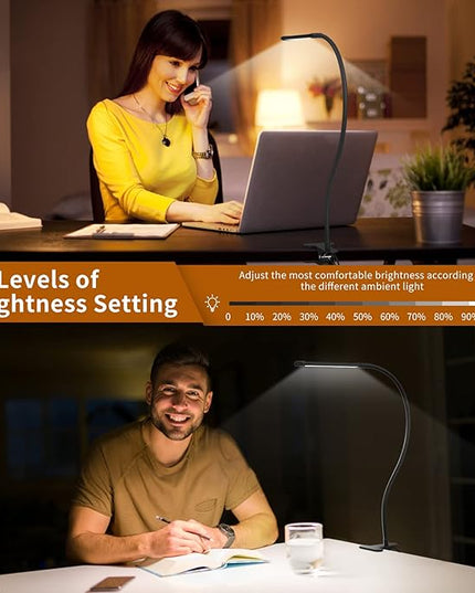 iZELL Desk Light [2-Pack] LED Desk Lamp with Clamp [77 LEDs with 3 Color Modes & 10 Brightness Levels] Flexible Gooseneck Book Light, Easy Clip-on Reading Light