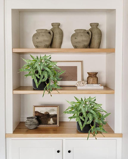 Briful Faux Plants Indoor 9'' Artificial Potted House Plant with Black Ceramic Pot Fake Pteris Cretica Fern Plant for Home Office Room Desk Shelf Decor Indoor(2PACK)