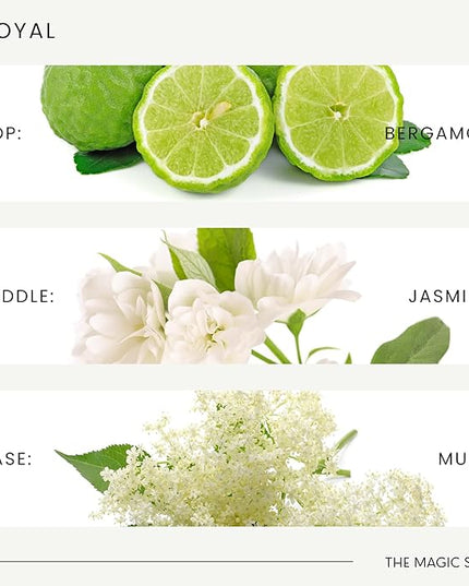 The Magic Scent Royal Hotel Diffuser Oil - Cold-Air & Ultrasonic Scented Oils for Diffuser Inspired by The Ritz Hotel, London - Essential Oils for Diffusers Aromatherapy (500 ml)