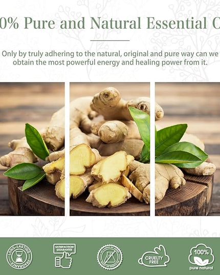 Ginger 3.38fl.oz Essential Oil, PHATOIL Pure Aromatherapy Oils for Diffuser, Humidifier, Perfect for DIY Soap, Candle, Bath Bombs Making(100ml)