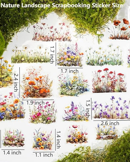 Nature Landscape Scrapbooking Sticker Set, 240 Pieces, 6 Themes Transparent PET Stickers for Journaling, Junk Journal Supplies, Planner, Collage, Bujo, Mixed Media, DIY Crafts Arts
