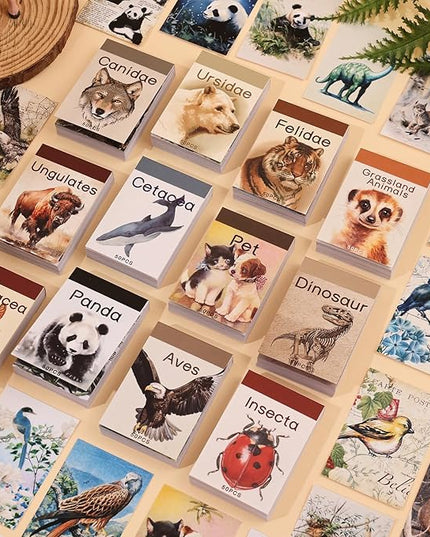 12 Sets 600 Sheets Washi Stickers Book for Journaling, Jungle Animal Sticker, Wild Zoo Sea Animal Aesthetic Scrapbook Dinosaur Sticker Set for Bullet Journal Card Craft Gift Rewards for Kid Notebook