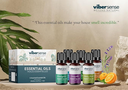 Essential Oils Set - Top 6 Blends for Diffusers, Home Care, Candle Making Scents, Fragrance, Aromatherapy, Humidifiers, Gifts -Eucalyptus,Tea Tree,Pepper Mint,Lemon Grass,Lavender & Orange 10ml