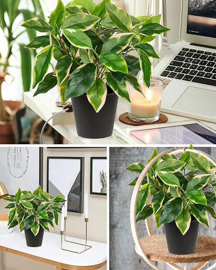 Oairse Artificial Plants Indoor Small Fake Plants in Pots Faux Pothos N‘ Joy Potted Plant Fake Indoor Plants with Black Pots for Bathroom Living Room Office Desk Shelves