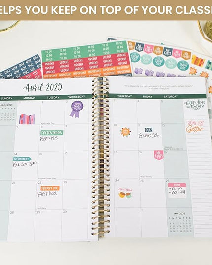 bloom daily planners Student Planner Stickers - 8 Sheets / 672 Stickers - Essential School Themed Variety Pack for Academic Year Planning - Icons & Illustrations to Track Assignments, Exams, & More