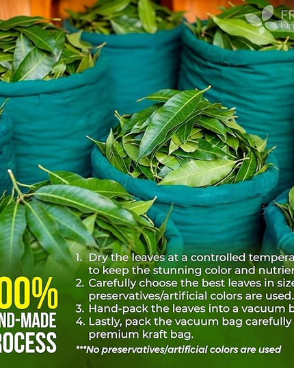 FreshDrinkUS, Premium 140+ Mango Whole Leaves Dried, 100% Natural & Pure from Dried Mango Leaves Tea, No Additives, No Caffeine, Vegan