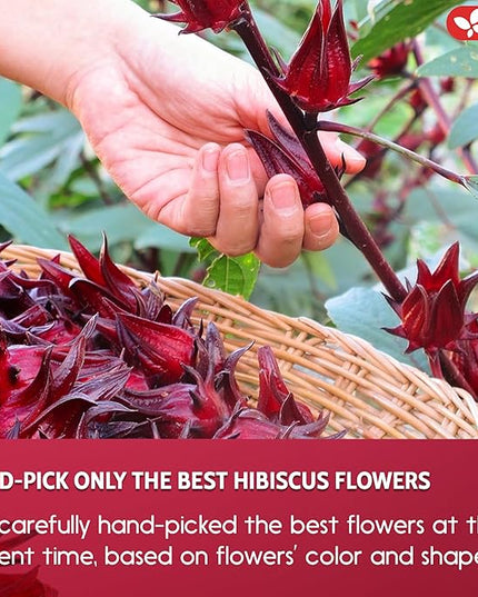 FreshDrinkUS, Premium 235 Hibiscus Flowers Tea Bags, 100% Natural, Pure from Hibiscus Flowers. Loose Flower Herbal Tea. No Sugar, No Caffeine, No Gluten, Vegan.