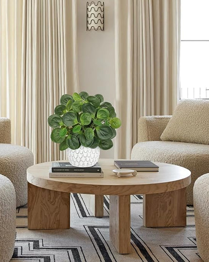 13" Artificial Plants Indoor Small Fake Plant in White Ceramic Pot, Silk Plants for Home Decor Indoor, Faux Potted Plant for Shelves, Desks, Home, Room, Office, Bedroom, Entryway, Tabletop Decor