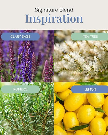 Inspiration Aroma Oil, Essential Oils Blend for Diffusers & Scent Machines, Zesty Citrus & Blooming Florals, Aromatherapy, Cold Air Diffuser Compatible, 300 mL