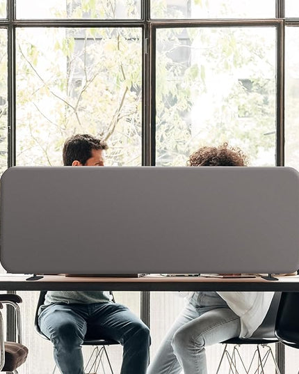 DECOLAB Desk Dividers, Standing Table Divider Panel Partition for Home, Office, Student, Classroom, Countertop, Freee Standing, Anti Scratch, 48"x18", Sterling