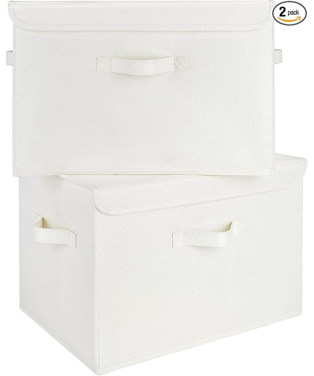 GRANNY SAYS Storage Boxes with Lids, Large Storage Bins with Lids, Decorative Box, Shelves Baskets, Clothes Storage and Organization, 2-Pack