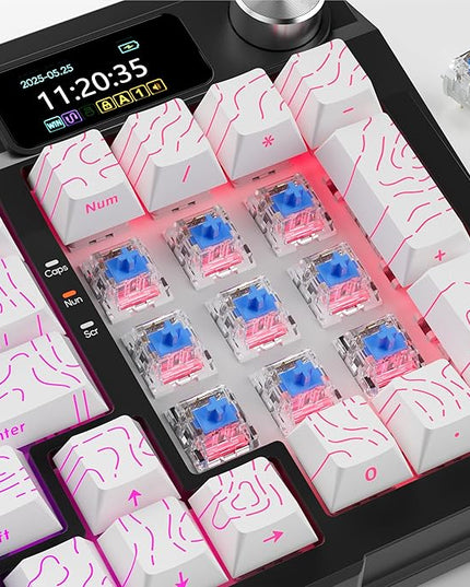 Blue Switch 3 Pin Mechanical Keyboard Switches,Dustproof,Accurate Typing Clicky Tactile Feel for DIY Gaming Keyboard with 3 Kailh Box Clicky Switches(87+3Pcs)